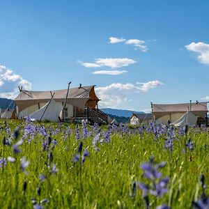 Under Canvas West Yellowstone